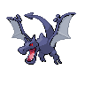 Shadow Aerodactyl